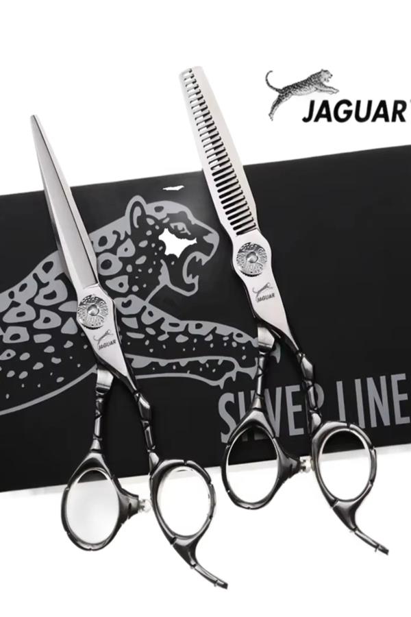 JGS 860 Gümüş Dış Bükey Set 2li Kutulu Profesyonel Berber Kuaför Makas Seti 