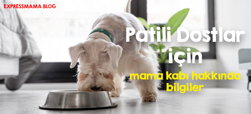 kedi mama kabı,köpek mama kabı,mama kabı