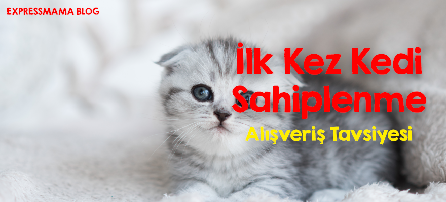İlk Kez Kedi Sahipleneceklere Alışveriş Tavsiyeleri