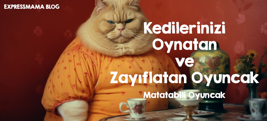 kedioyuncağı,kedioyuncakları,kedi oyuncakları,kedi oyuncağı,