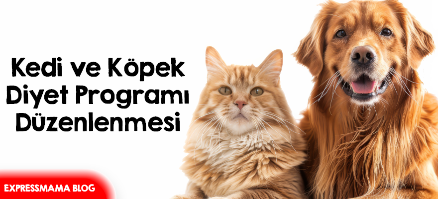 kedi maması,köpek maması,köpek sağlığı,kedi sağlığı,köpek diyet maması,kedi diyet maması,