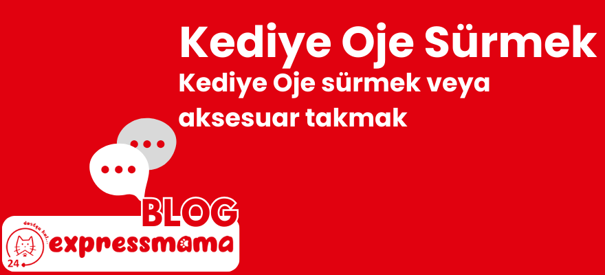 kedi aksesuarı,kedi ojesi,kediye oje sürmek,