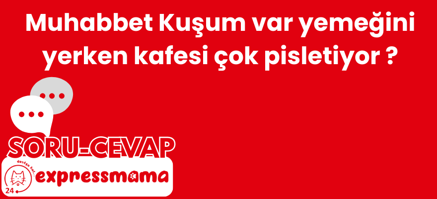 Muhabbet Kuşum var yemeğini yerken kafesi çok pisletiyor ?