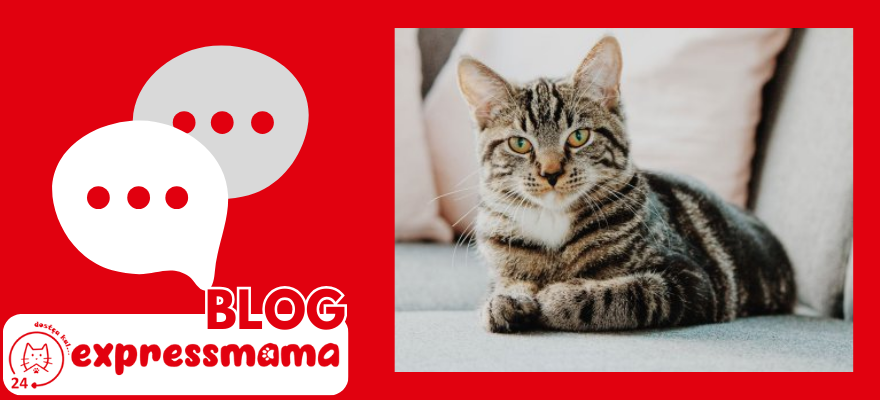 N&D Kısırlaştırılmış Kedi Maması
