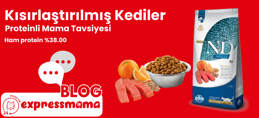 N&D Kısırlaştırılmış Kedi Maması