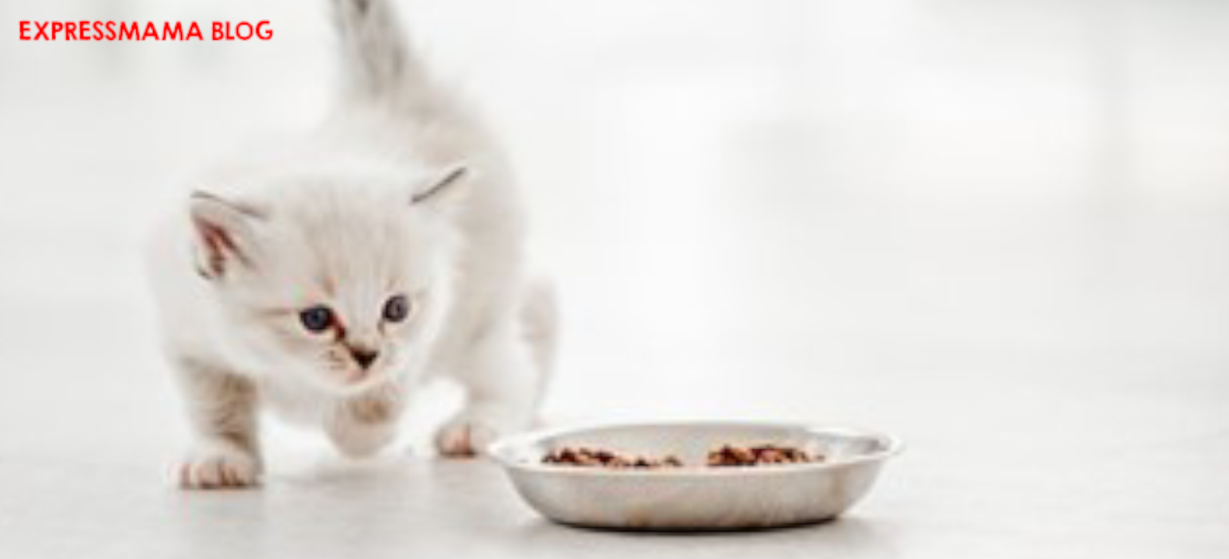 N&D Tropical Selection Kuzulu Yavru Kedi Maması İncelemesi: İçindekiler, Faydaları ve Kullanıcı Yorumları