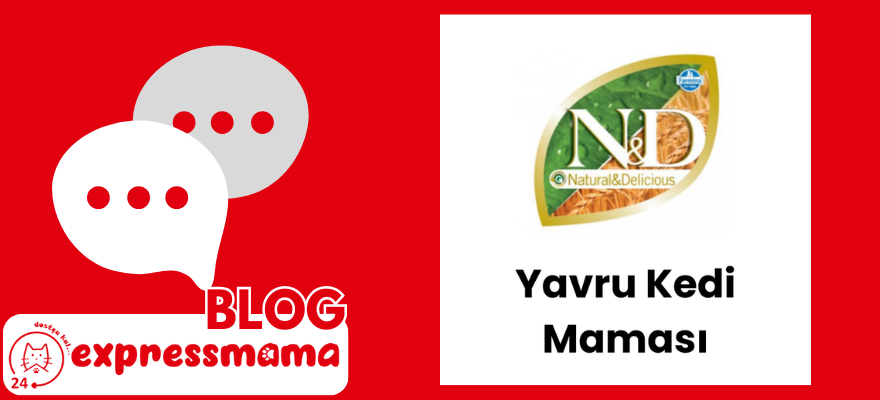 nd yavru kedi maması