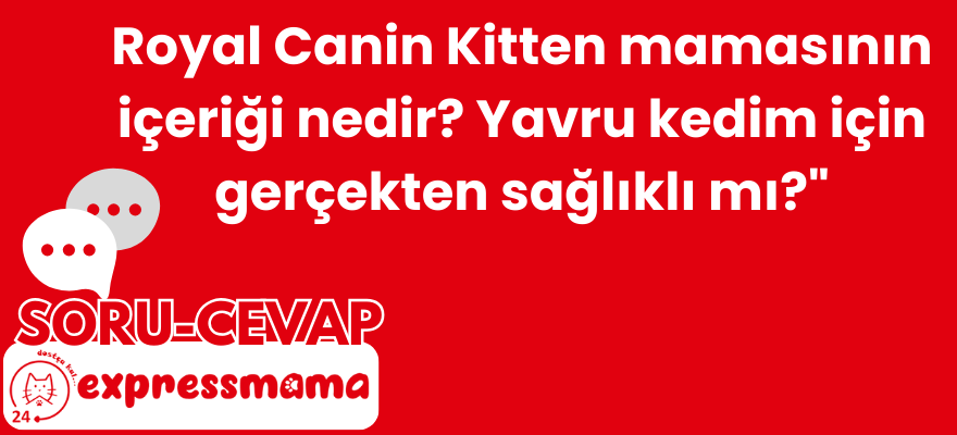 Royal Canin Kitten Yavru Kedi Maması içeriği nedir ? Yavru kedim için sağlıklı mı ?