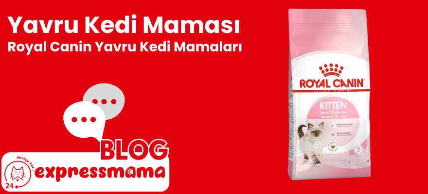 Royal Canin Yavru Kedi Maması