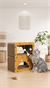 AHŞAP KENARLI KEDİ TIRMALAMA OYUN KUTUSU