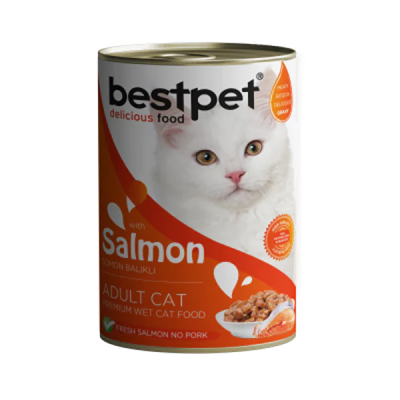 BESTPET CAT WITH SALMON IN GRAVY 400 G 24 ADET