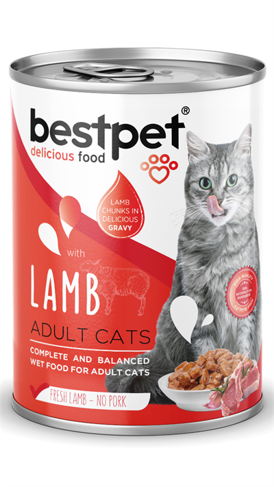 BestPet Kuzu Etli Yetişkin Kedi Konservesi 400gr