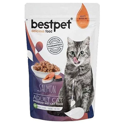 BestPet Pouch Somonlu Yetişkin Kedi Konservesi 85gr
