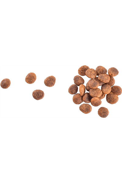 Brit Care Birt Care Sensitive Fresh Hypoallergenic Yetişkin Hindili ve Somonlu Kedi Maması 2 Kg