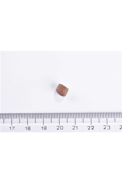 Brit Care Gentle Digestion & Strong Immunity Somonlu Tahılsız Yavru Kedi Maması 7 Kg