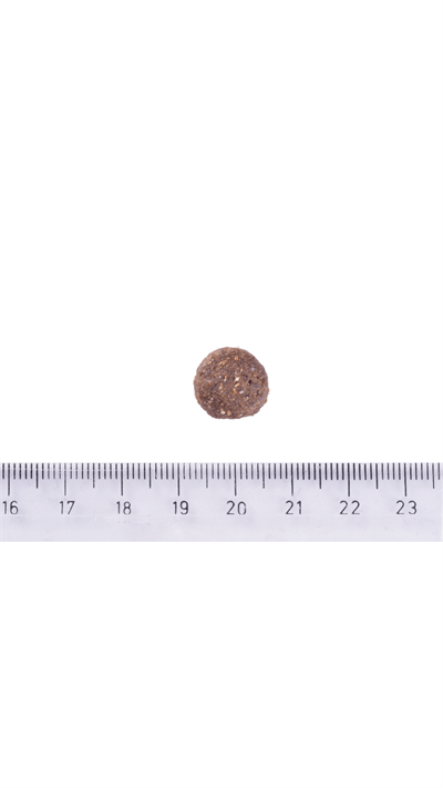 Brit Care Hypo-Allergenic Kuzulu Orta Irk Yetişkin Köpek Maması 3kg