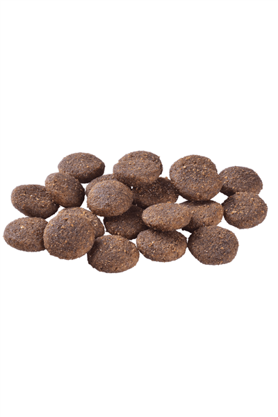 Brit Care Hypo-Allergenic Mono Protein Kuzulu Büyük Irk Yetişkin Köpek Maması 12 Kg