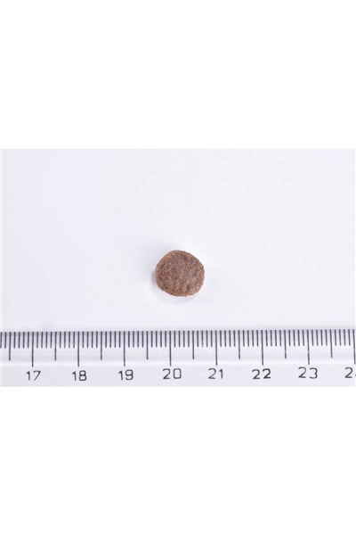 Brit Care Hypo-Allergenic Sindirim Sistemi Destekleyici Tahılsız Kısırlaştırılmış Kedi Maması 7kg