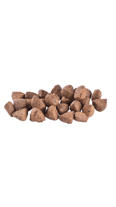 Brit Care Hypo-Allergenic Weight Loss Tavşan Etli Kilo Dengeleyici Yetişkin Köpek Maması 12kg