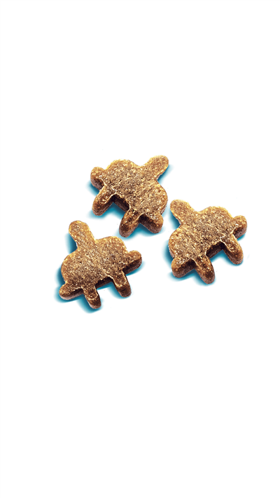 Brit Care Recovery Ringa Balıklı Köpek Ödül Maması 150 Gr