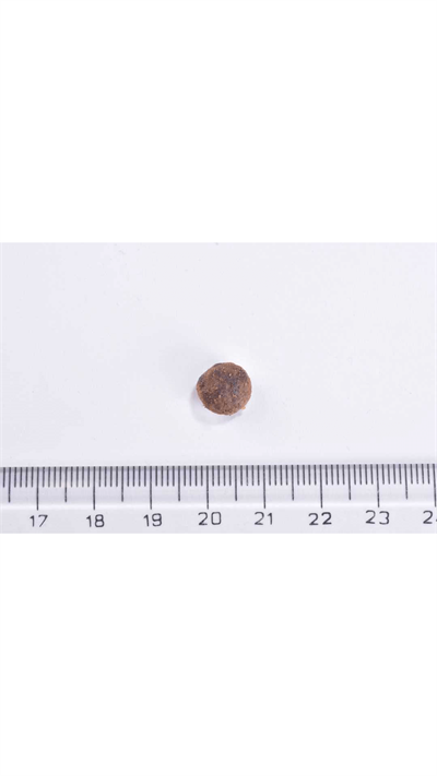 Brit Care Sensitive Hypo-Allergenic Larva Proteinli Tahılsız Yetişkin Kedi Maması 2kg