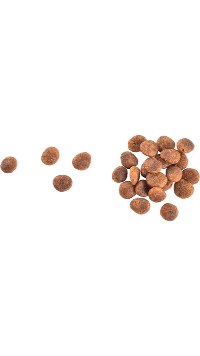 Brit Care Sensitive Hypo-Allergenic Sindirim Sistemi Destekleyici Tahılsız Yetişkin Kedi Maması 7kg