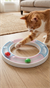 Catlife Kedi Oyun Çemberi Oyuncak