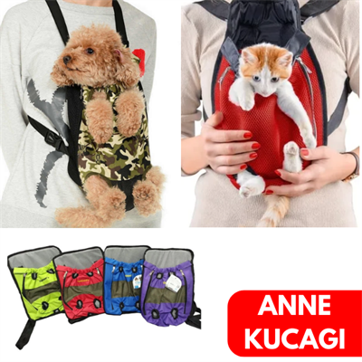 Chakie Kedi ve Köpek Ana Kucağı
