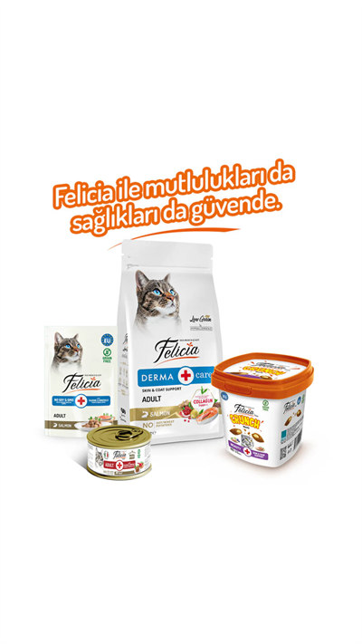 Felicia Beauty Kedi Crunch Ödül Maması 100g