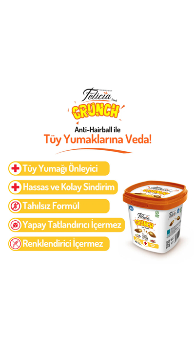 Felicia Hairball Kedi Crunch Ödül Maması 100g