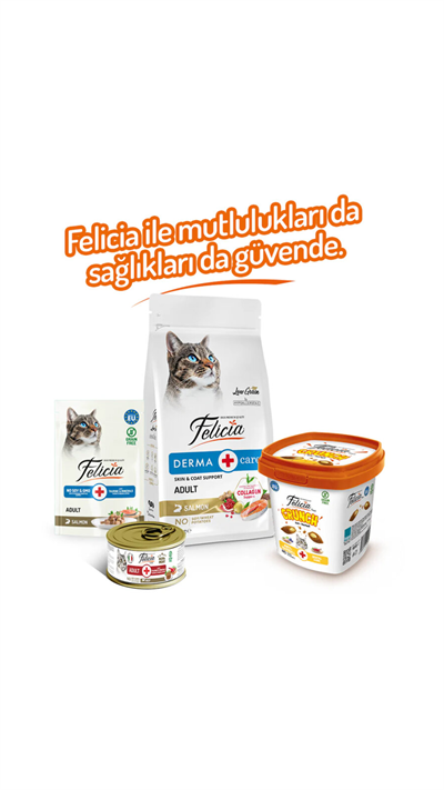 Felicia Hairball Kedi Crunch Ödül Maması 100g