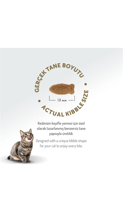 Felicia Hipoalerjenik Kolejen Destekli Somonlu Yetişkin Kedi Maması 5kg
