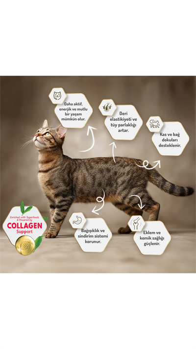 Felicia Hipoalerjenik Kolejen Destekli Somonlu Yetişkin Kedi Maması 5kg