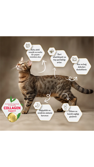 Felicia Hipoalerjenik Kolejen Destekli Somonlu Kısırlaştırılmış Kedi Maması 5kg