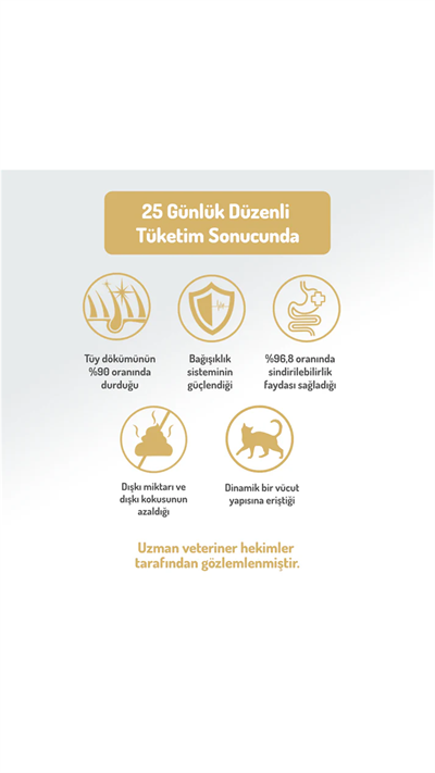 Felicia Hipoalerjenik Kolejen Destekli Somonlu Kısırlaştırılmış Kedi Maması 5kg