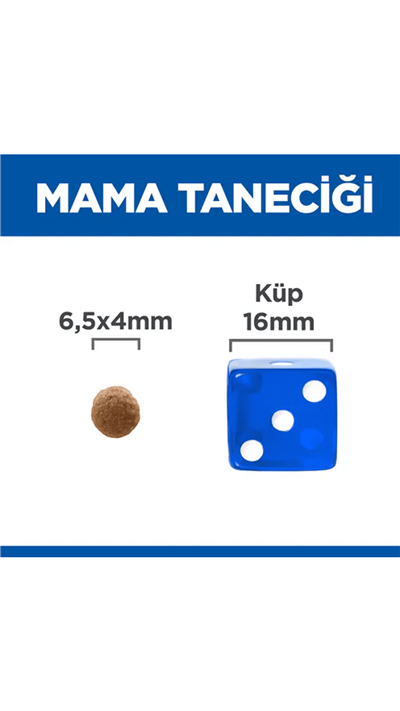 Hills SCIENCE PLAN Healthy Development Kuzulu Küçük Irk Yavru Köpek Maması 6kg