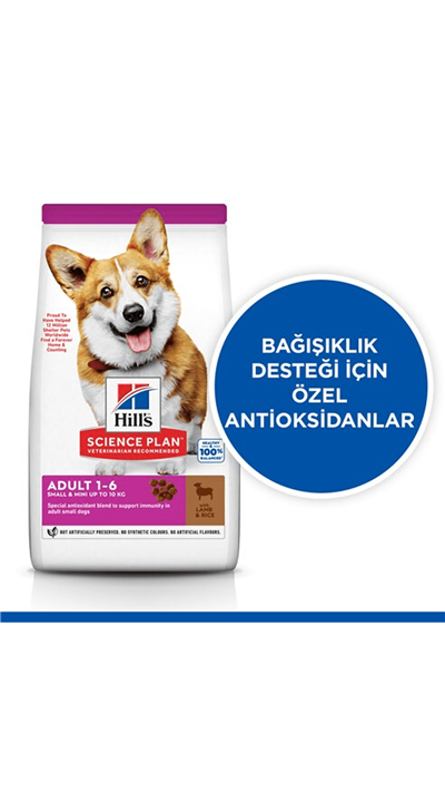Hills Small & Mini Küçük Ve Minyatür Köpek Maması 1,5 Kg.Kuzulu