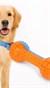 Kauçuk Sesli Dumbell Model Köpek Diş Kaşıma ve Eğitim Oyuncağı