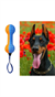 Kauçuk Sesli Dumbell Model Köpek Diş Kaşıma ve Eğitim Oyuncağı