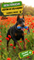 Kauçuk Sesli Dumbell Model Köpek Diş Kaşıma ve Eğitim Oyuncağı