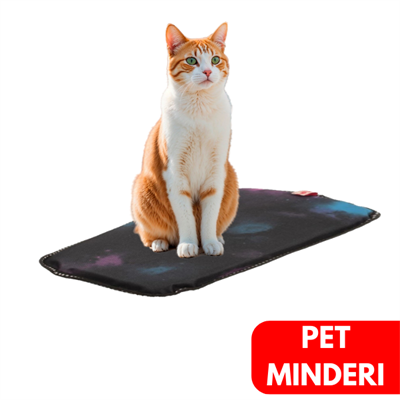 Lepus Kedi ve Köpek Minderi