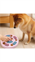 Obezite Engelleyici Mama Hazneli Köpek Oyuncağı (KUTULU) Zeka Geliştirici