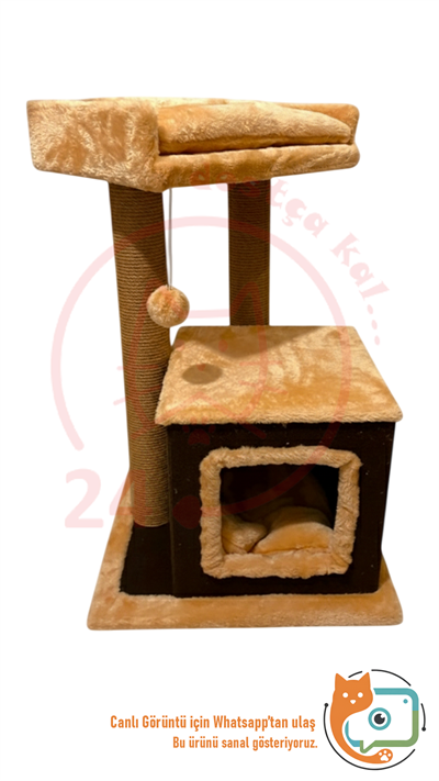 Expressmama Kedi Tırmalama Tahtası ve Kedi Evi
