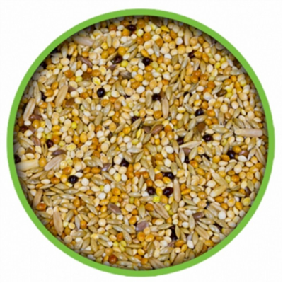 Muhabbet Kuşu Yemi 5 Kg Karışık