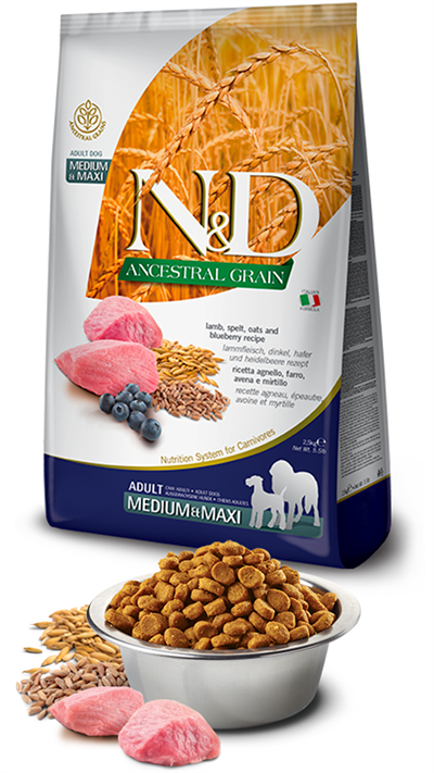 N&D Ancestral Kuzu Etli ve Yaban Mersinli Orta ve Büyük Irk Ata Tahıllı Yetişkin Köpek Maması 12kg