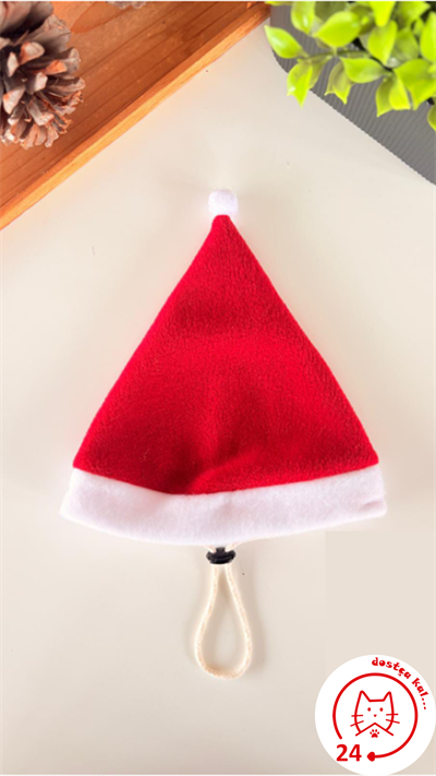Kedi ve Köpek Noel Şapka Yılbaşı Şapkası