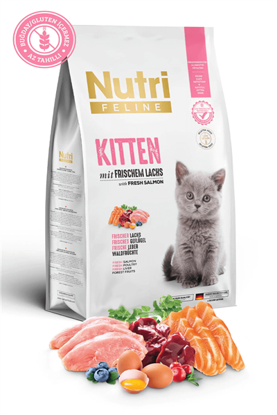 Nutri Feline Glutensiz Somonlu Düşük Tahıllı Yavru Kedi Maması 10 kg