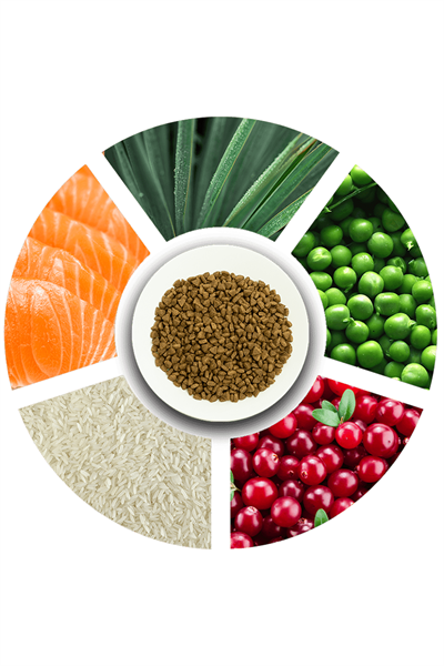 ProChoice Pro 34 Somonlu ve Pirinçli Düşük Tahıllı Yetişkin Kedi Maması 2 kg