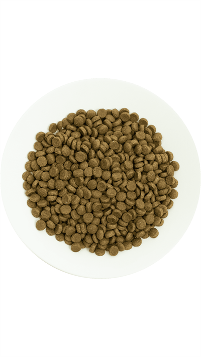 Prochoice Pro 36 Kuzu Etli Pirinçli Yetişkin Kedi Maması 2 Kg