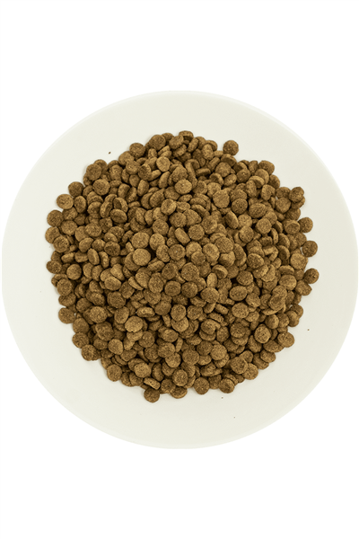 ProChoice Pro 33 Hypoallergenic Sterilised Somonlu Kısırlaştırılmış Kedi Maması 2 Kg